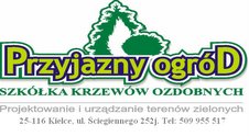 Logotyp firmy